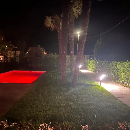 فيلة Lido - *