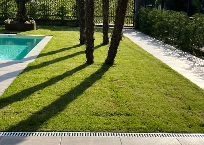 Lido - * Колико